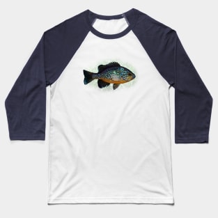 The Pumpkinseed Panfish Baseball T-Shirt